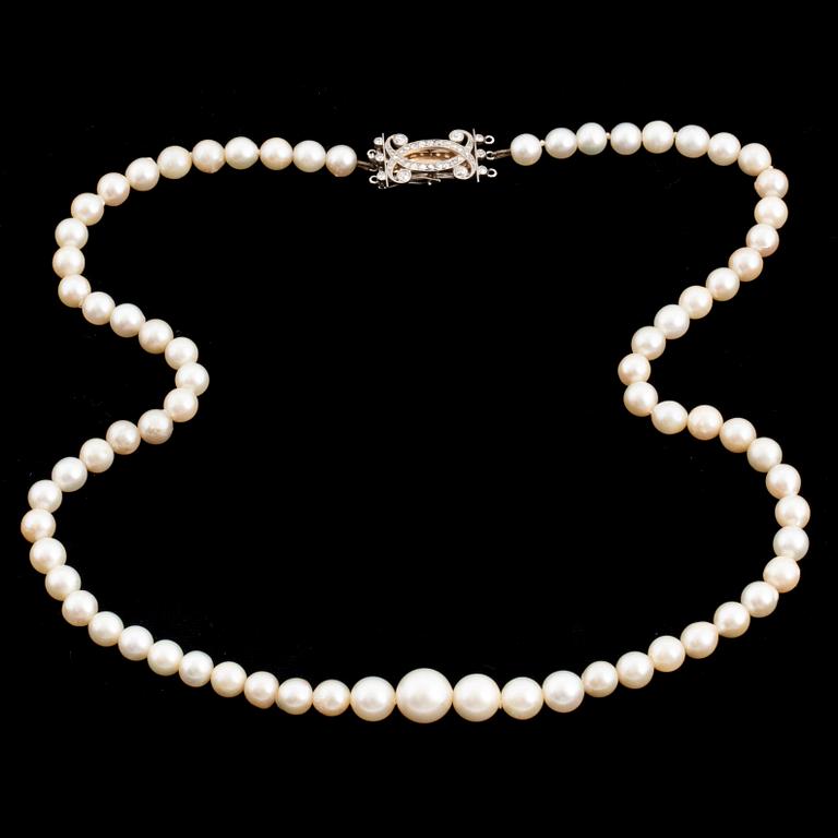 COLLIER, med graderade odlade pärlor, lås platina med diamanter.