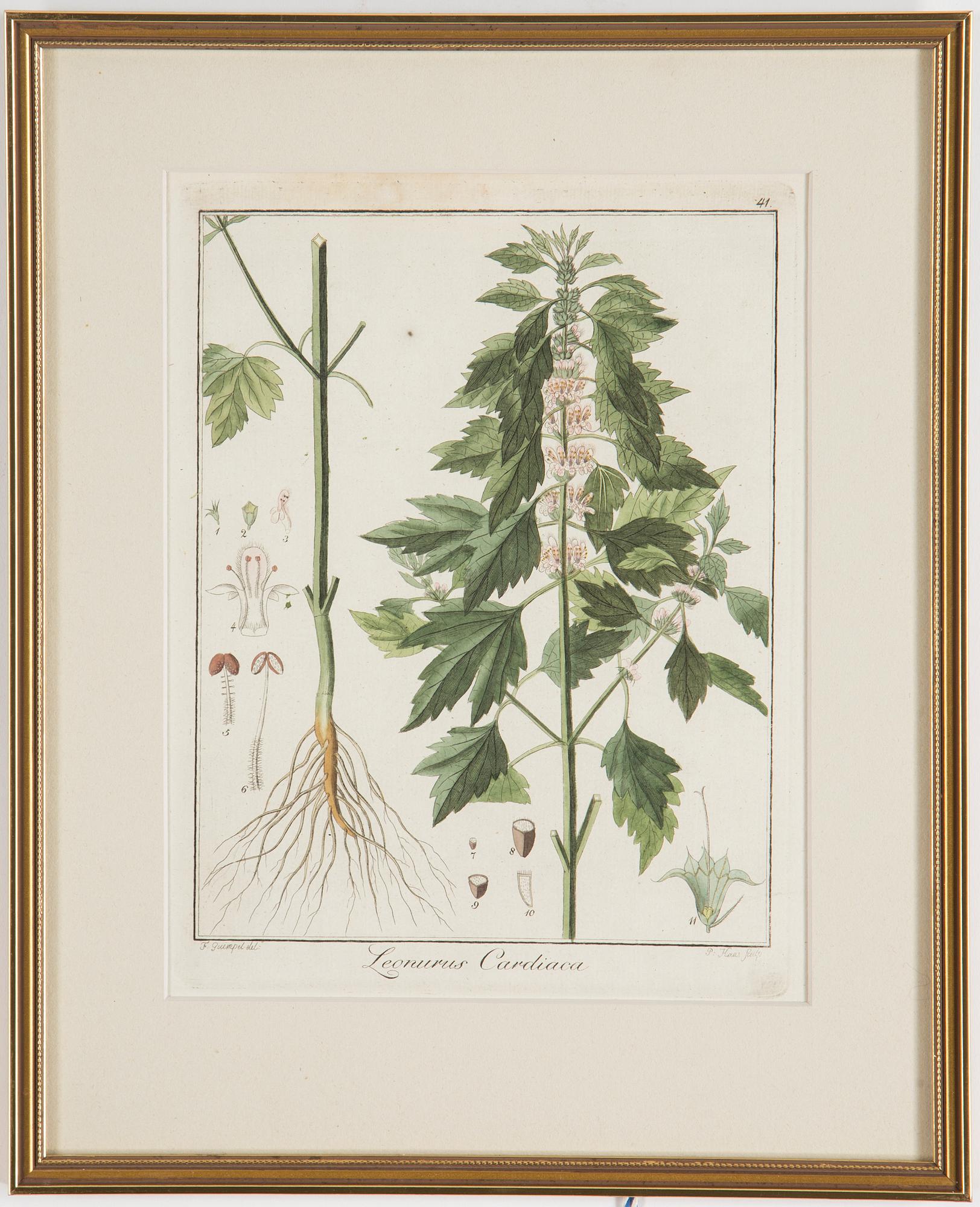 Four 18th century hand coloured engravings.