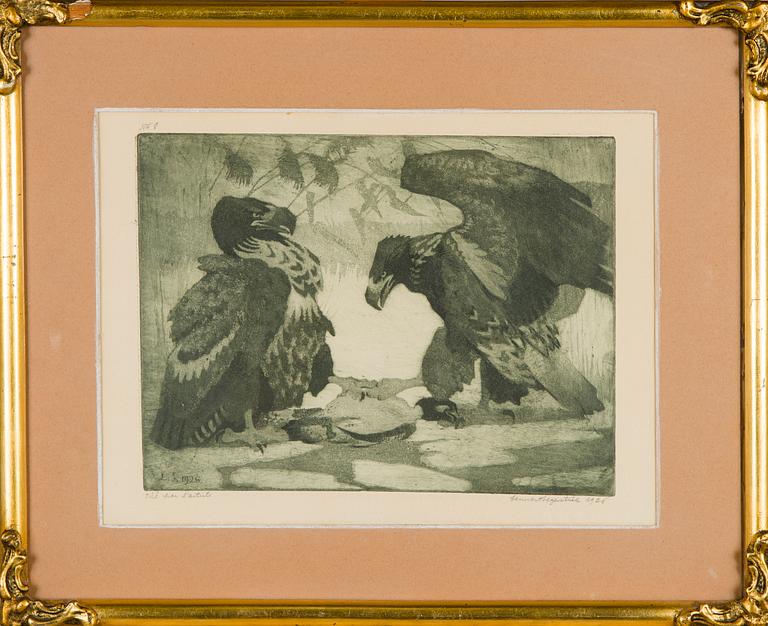 Lennart Segerstråle, Kotkat.