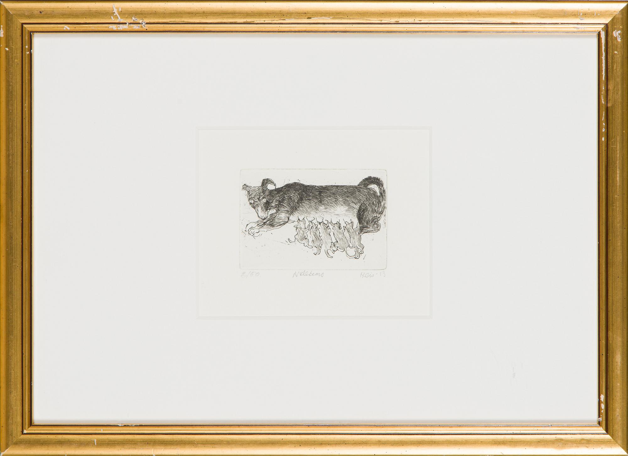 Outi Heiskanen, "Nelliemo".