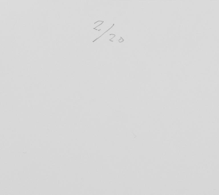 Carl Johan De Geer, "Oskyldigt dömd".