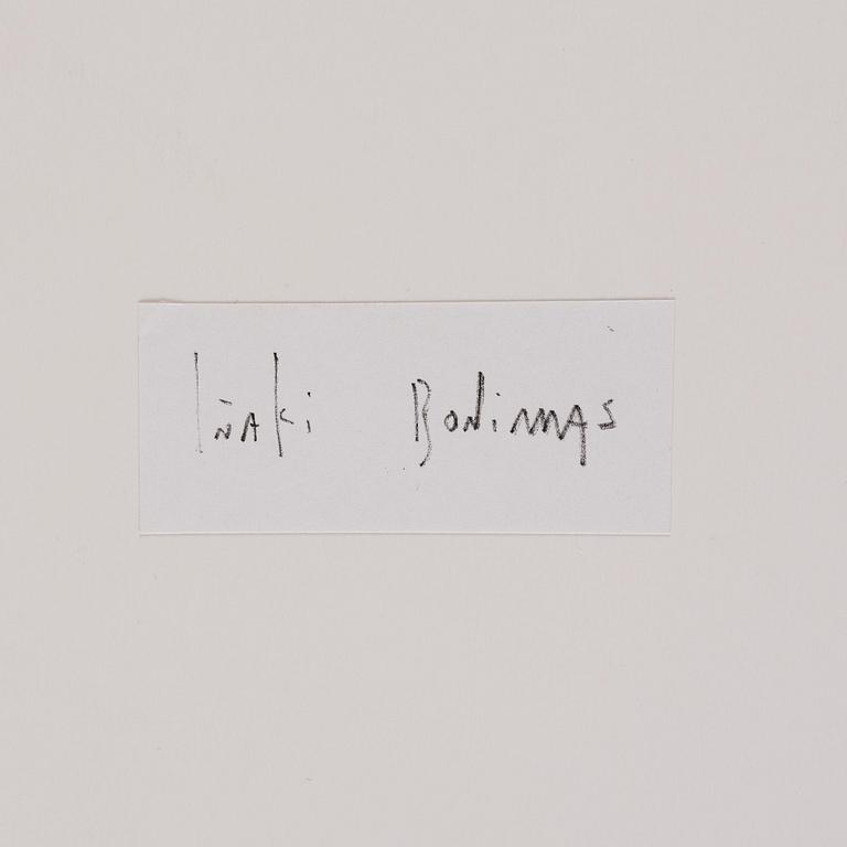 Iñaki Bonillas, "The Rain Came Last", 2013.