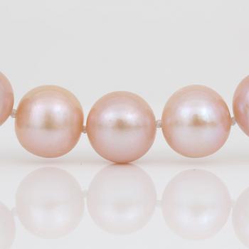 PÄRLCOLLIER, med hjärtformat försilvrat lås och odlade rosa pärlor.