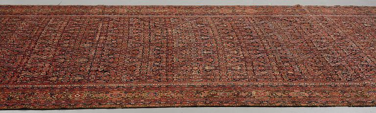 A carpet, an antique Feraghan, ca 579,5 x 234,5 cm.