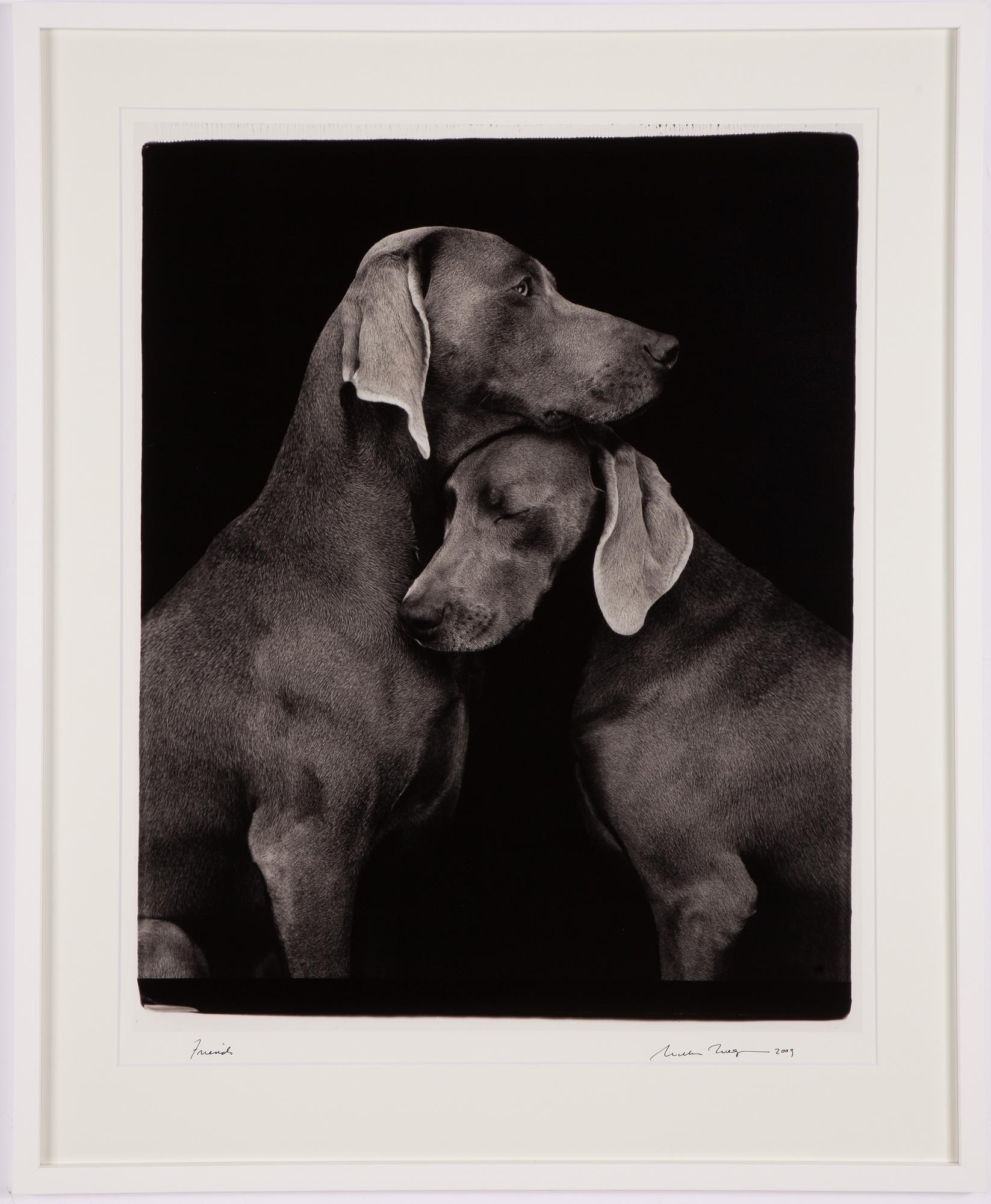 William Wegman, "Friends".