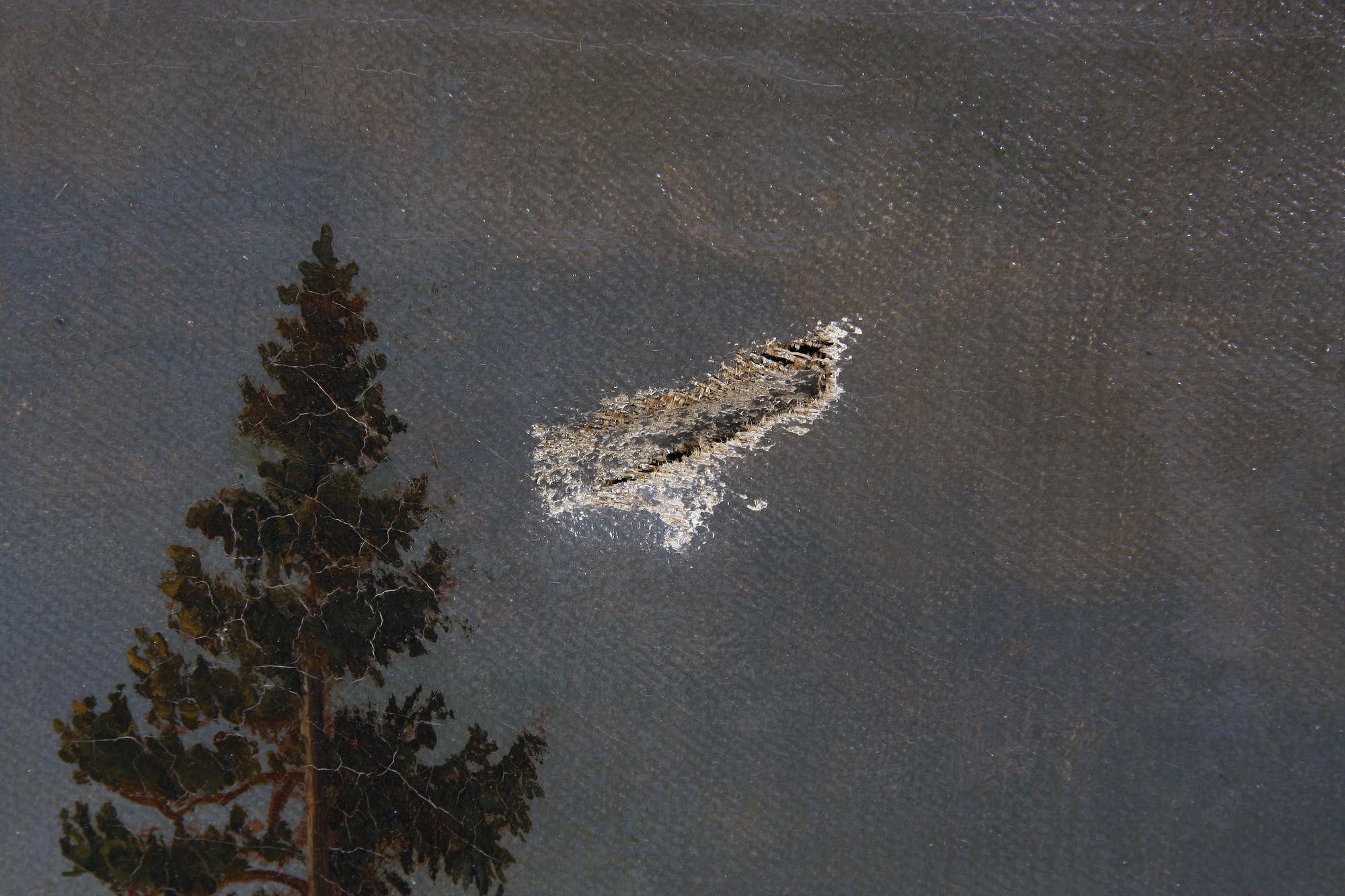 OKÄND KONSTNÄR, olja på duk. 1800/1900-tal.