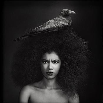 Sonja Hesslow, "Fly Away My Anger",2014.