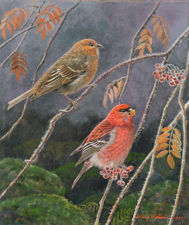 Niilo Vainio, Tallbitar.