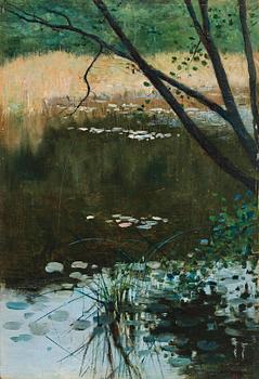 365. Robert Thegerström, Pond with water lilies.