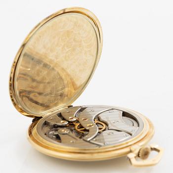 IWC, fickur, "Sector Dial", 47 mm.