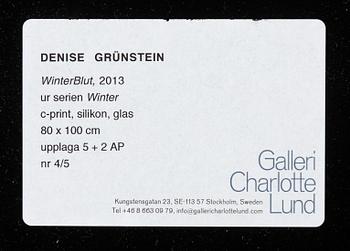 Denise Grünstein, "Winter Blut", 2013.