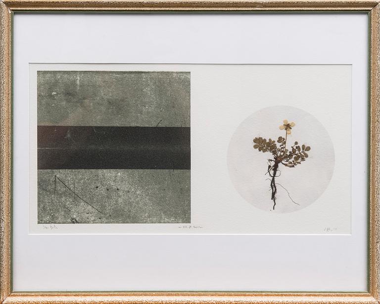 LEIF STRENGELL, piezografi, signerad och daterad 22.7. 2011, numrerad 1/30.