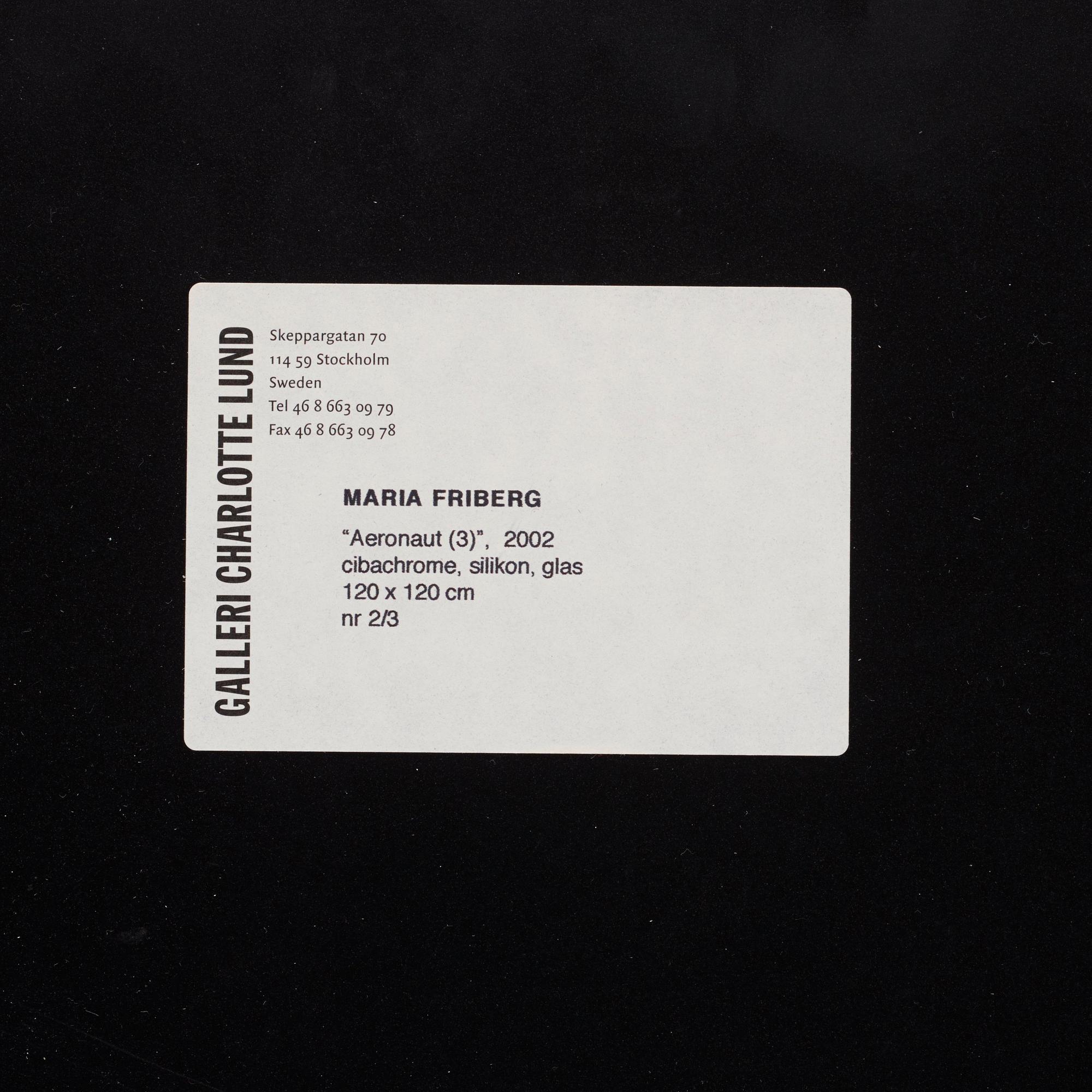Maria Friberg, 'Aeronaut (3)', 2002.