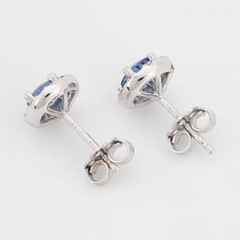 Sapphire and brilliant-cut diamond earrings.