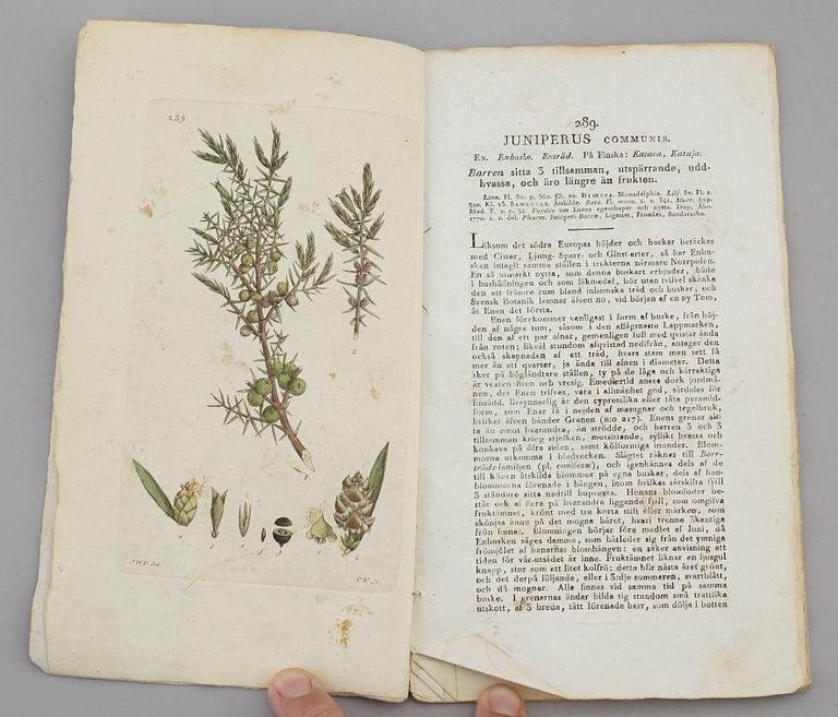 JOHAN WILHELM PALMSTRUCH, "Svensk Botanik, vol I-V. 1803-1805.
