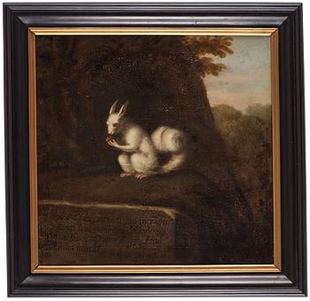 David Klöcker Ehrenstrahl, studio of, "Vit ekorre".