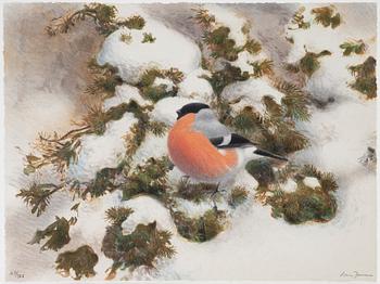 Lars Jonsson, portfölj "Dagrar", 2000,  med 12 färglitografier, signerade 167/366.