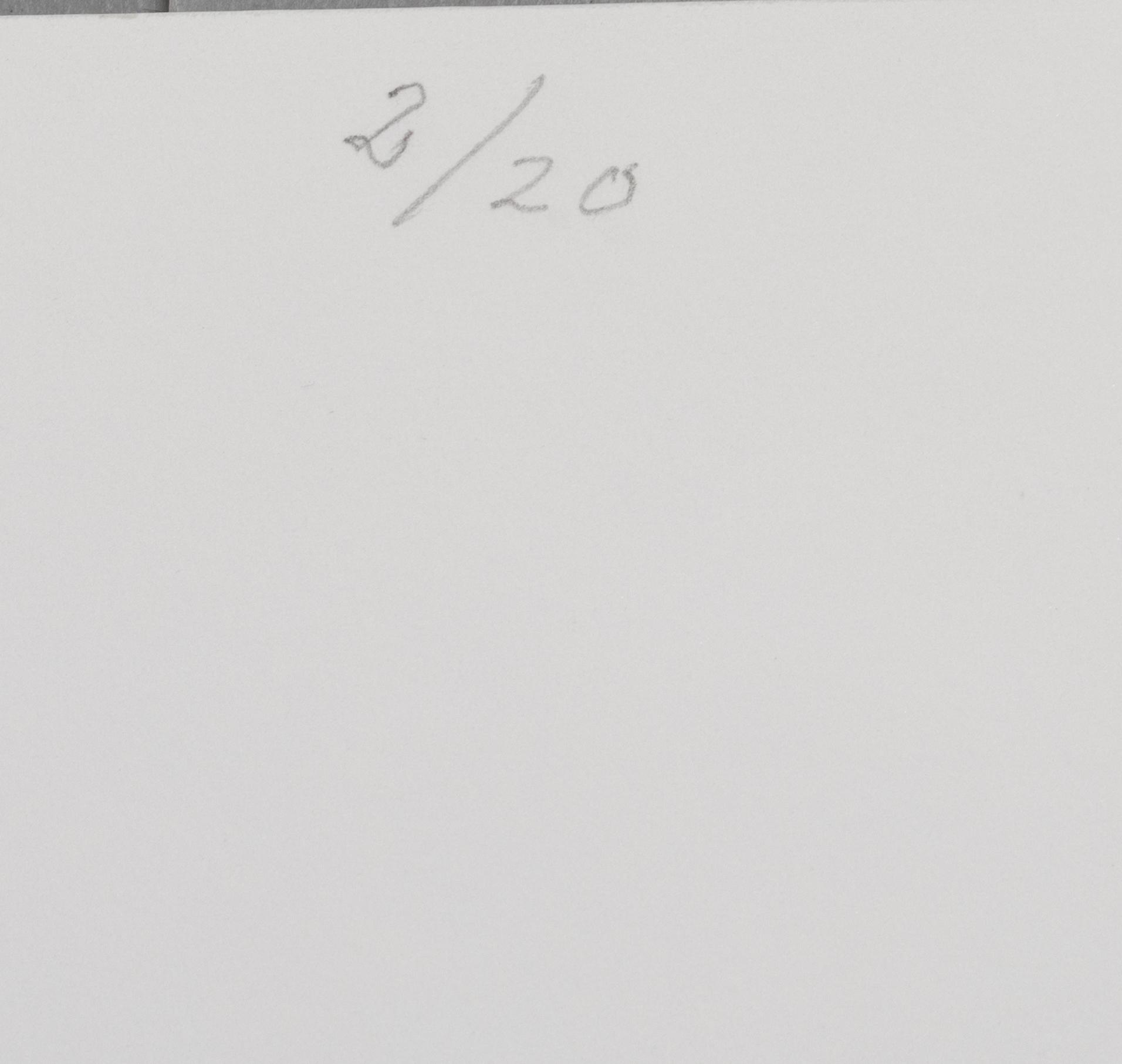 Carl Johan De Geer, "Hus och ensamhet".