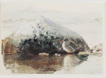 Lars Jonsson, 'Dagrar'.