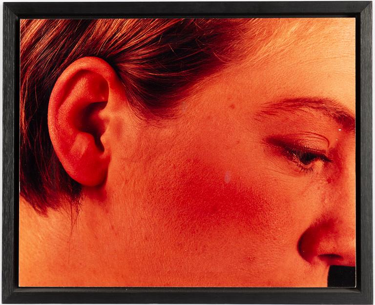 Staffan Redin, Untitled, quadriptych.