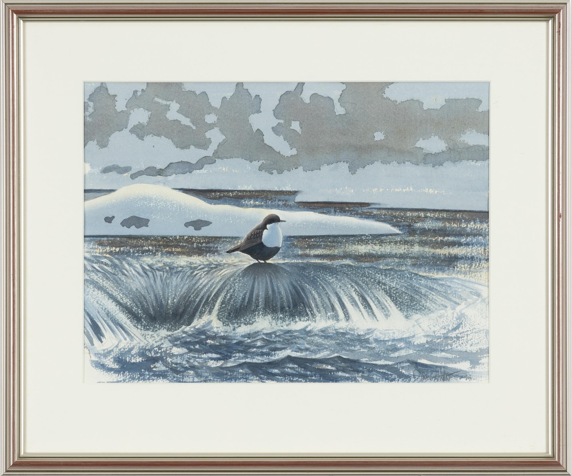 Dan Zetterström, Bird.