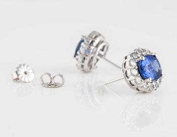 ÖRHÄNGEN, 14K vitguld med ovalslipade kyaniter ca 4.80 ct samt briljantslipade safirer ca 1.25 ct. Vikt 5,1 gram.
