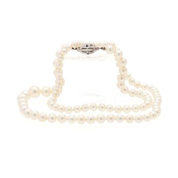 Collier av odlade doserade pärlor med lås av 18K vitguld och safirer.