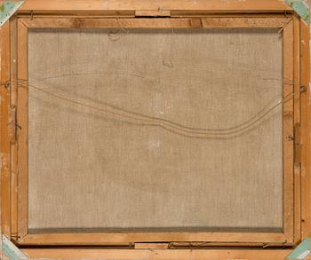 Into Linturi, "Köyliönjärvi".