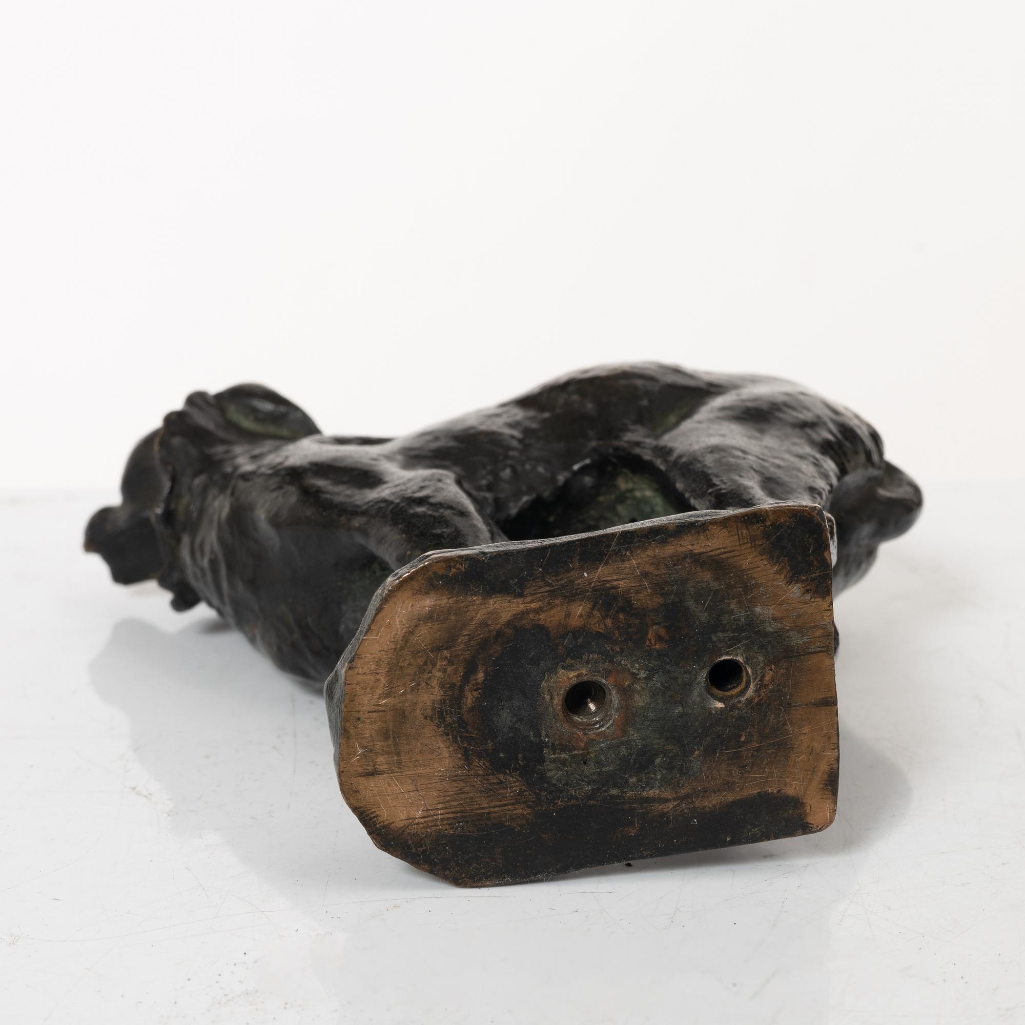 Carl Andersson, a lynx.