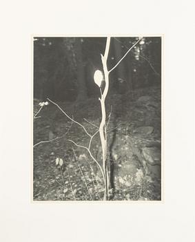 Åke E:son Lindman & Sven Westerlund, portfolio, 2 + 2 photos, signed 18/20.