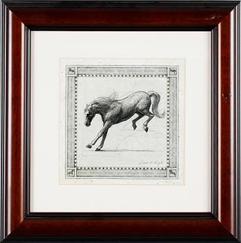 TAVLOR, 9 st, tryck, 1900-talets andra hälft.