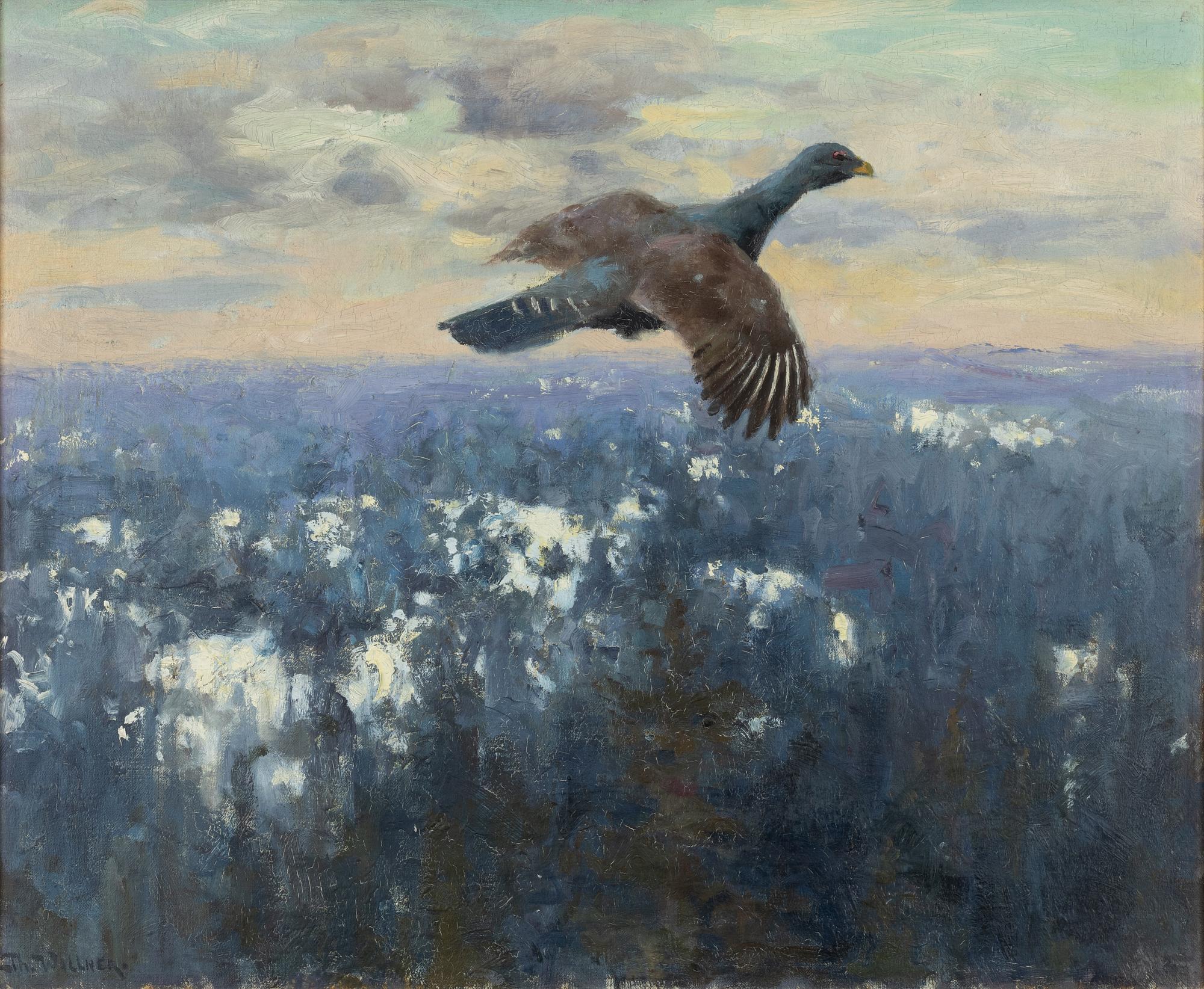 Thure Wallner, Tjäder.