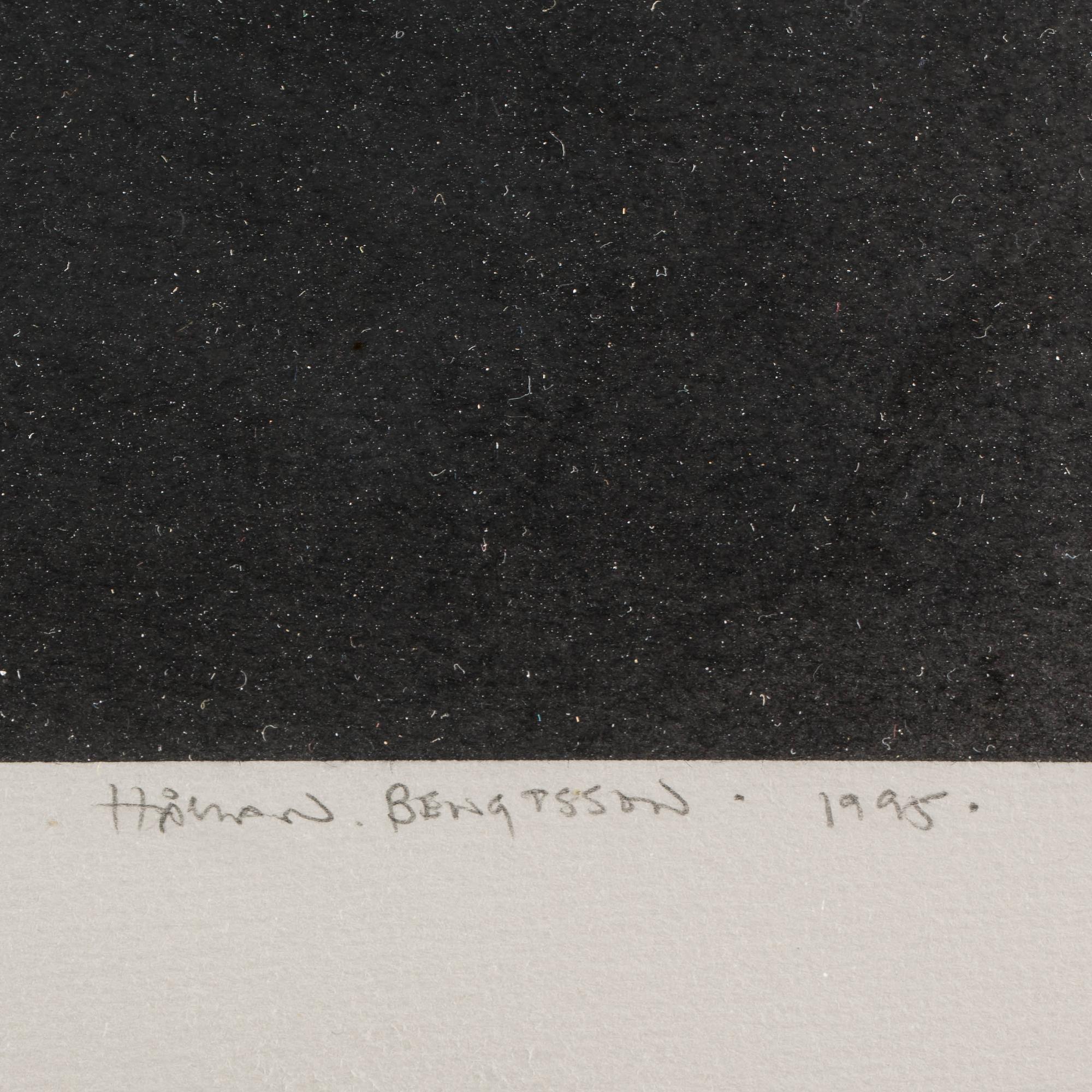 HÅKAN BENGTSSON, blyerts och krita. Signerad och daterad 1995.