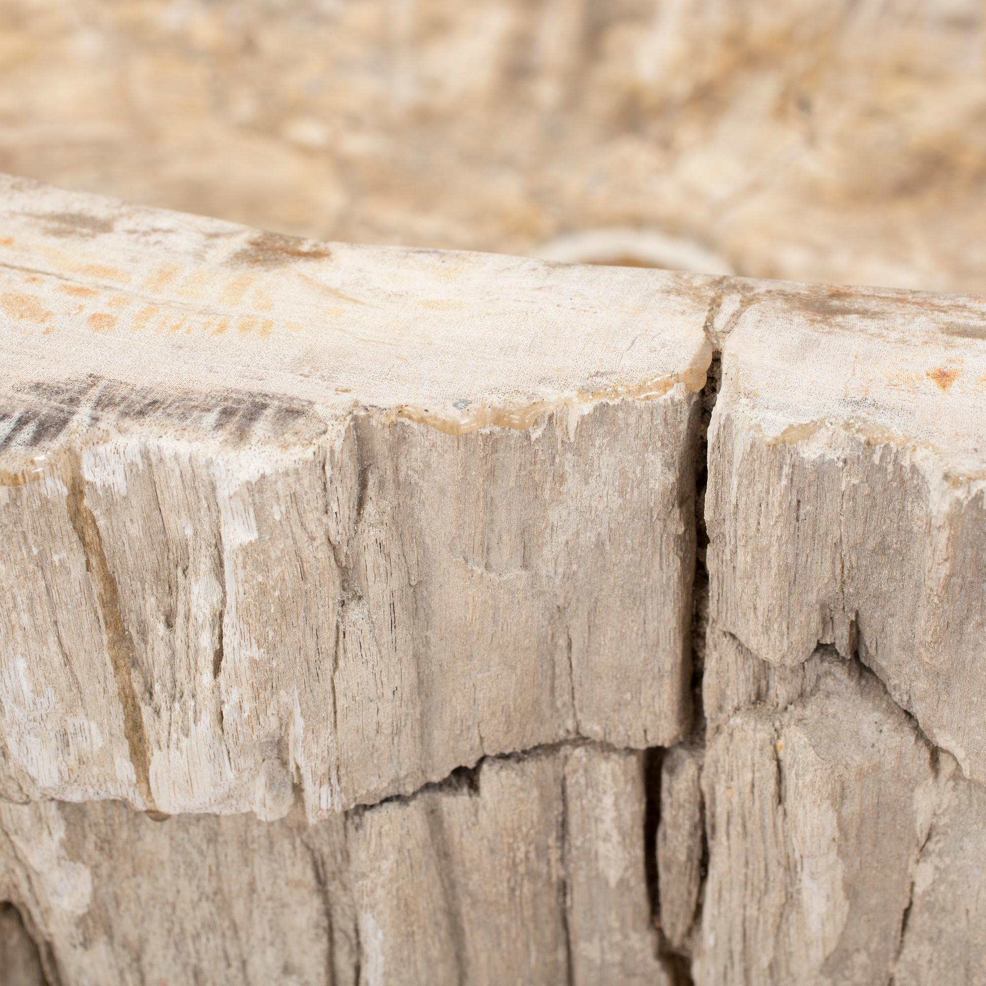 HANDFAT, fossil av förstenat trä.