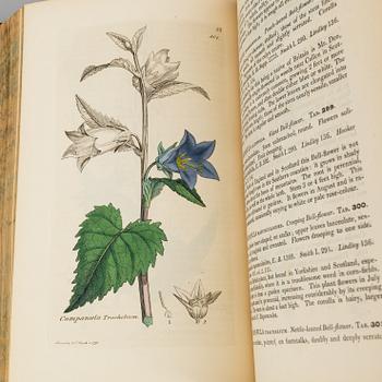 BÖCKER, 12 volymer, "English Botany", Sir James Edward Smith, James Sowerby, London, 1832-46.