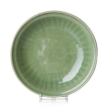 A celadon glazed dish, Ming dynasty (1368-1644).