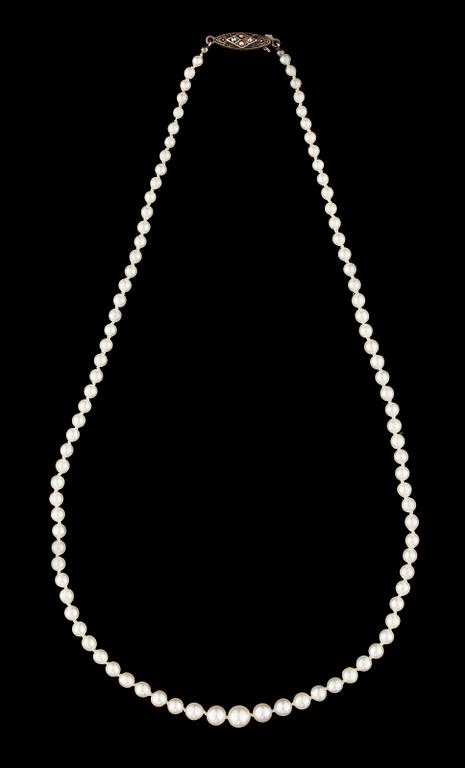 COLLIER, doserade odlade pärlor,