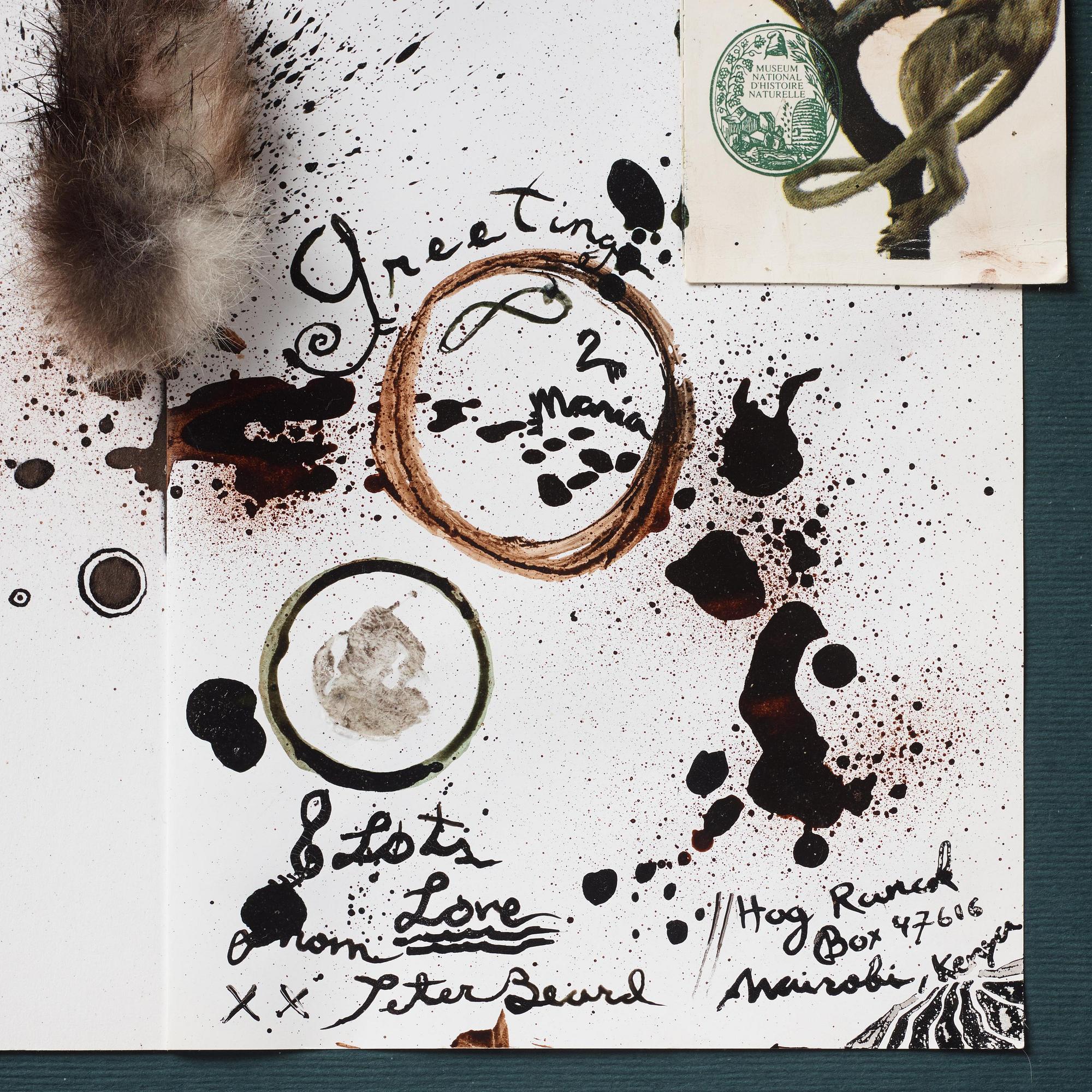 Peter Beard, "Lake Magali, Kenya".