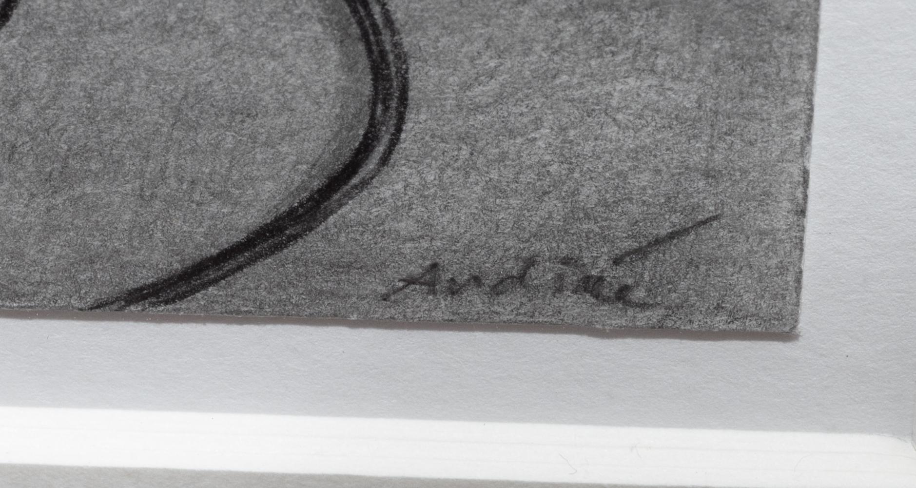 Patrik Andiné, "Skymd uppdenbarelse".