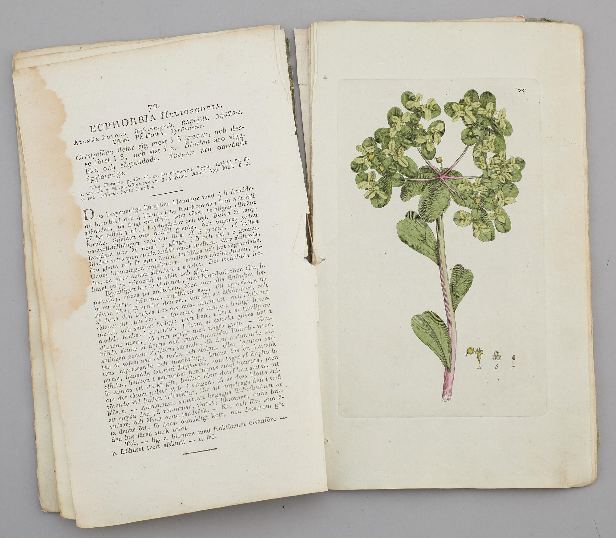 JOHAN WILHELM PALMSTRUCH, "Svensk Botanik, vol I-V. 1803-1805.