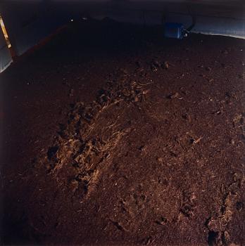 237. Ann-Sofi Sidén, "53 W. 9th Street, (horsehairpadding carpet), 1994 - 2004".