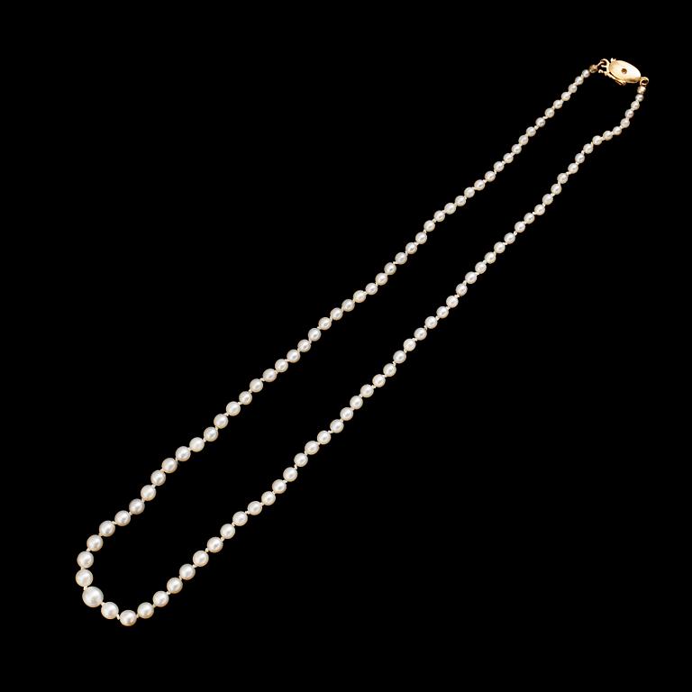 PÄRLCOLLIER, odlade doserade pärlor, lås 18 k guld.