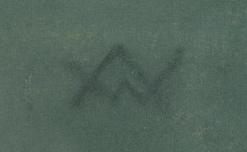 Wäinö Aaltonen, Flickpöträtt.