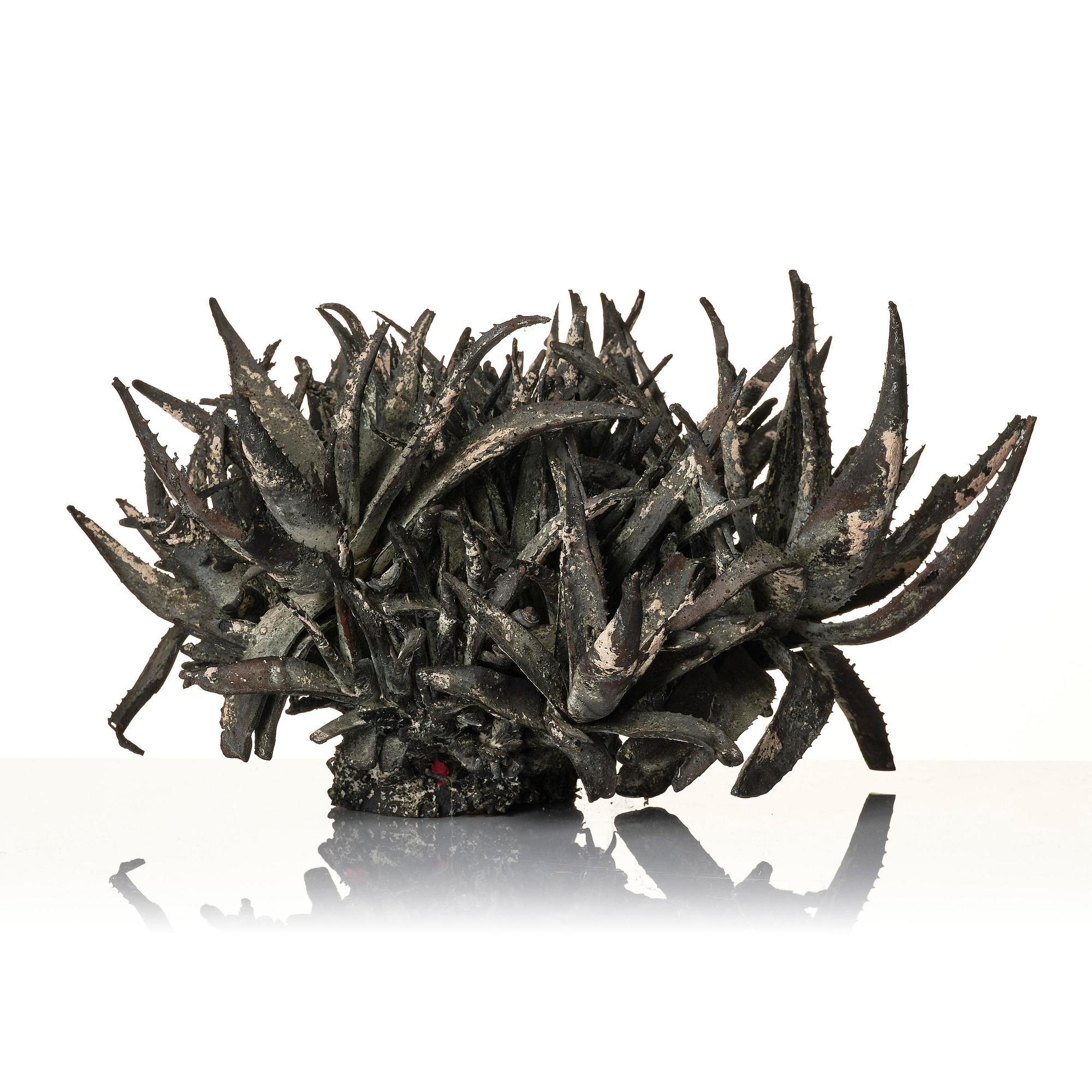 Roland Persson, "Aloe Vera".