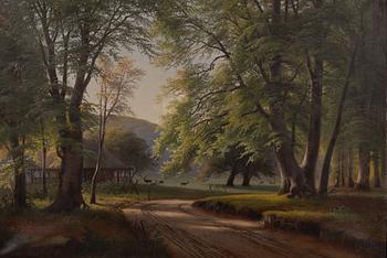 Unknown artist, Forest landscape, Denmark, 19th century.