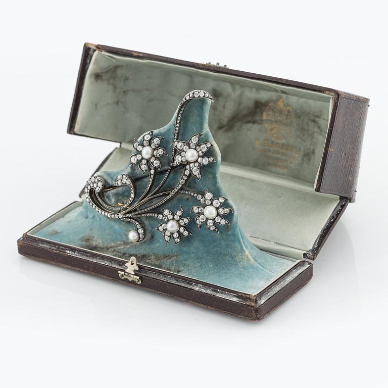 Brosch med pärlor och diamanter, C.E. Bolin, St Petersburg 1899-1908, Sofia Schwan.