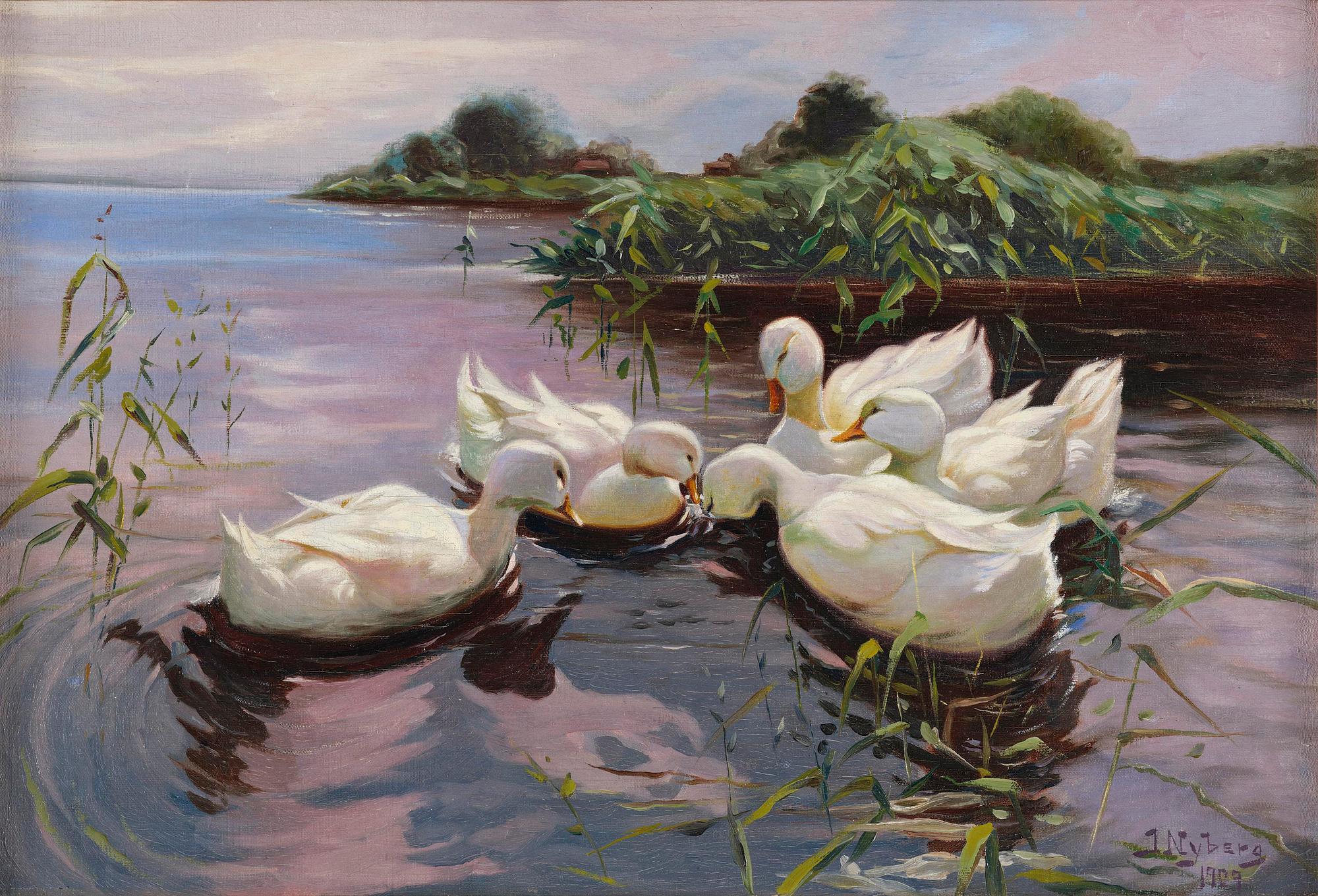 Ivar Nyberg, Cygnets.