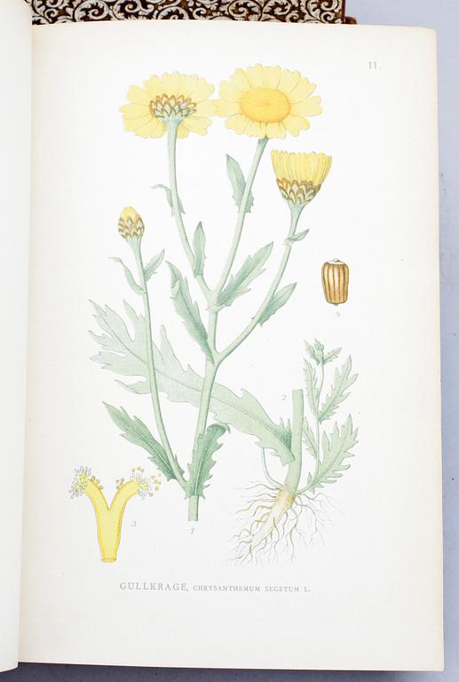 BOKVERK, 3 vol, "Bilder ur nordens flora", av CAM Lindman. Stockholm 1905.