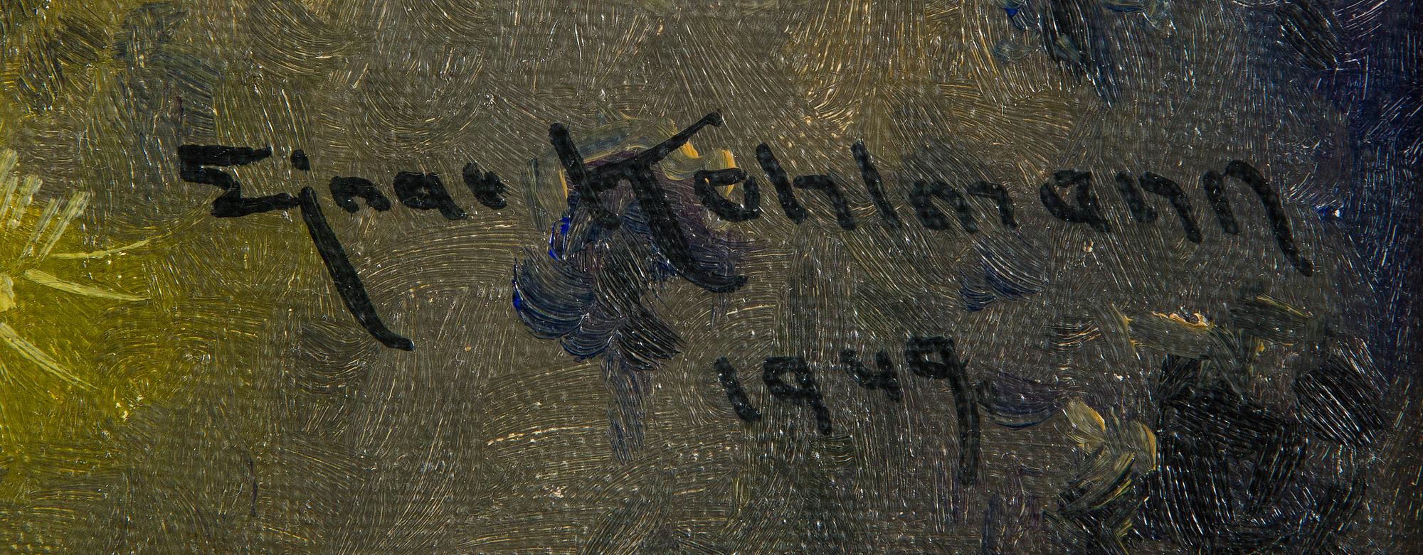 Ejnar Kohlmann, White-tailed eagle.