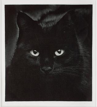 LENNART OLSON, Fotogravyr, sign o numr 27/200, 1982.